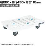 サカエ サカエメッシュキャリー 自在 固定タイプ 幅620×奥行430×高さ118mm SCR-M450EKW