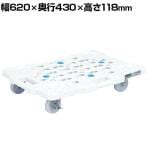 サカエ サカエメッシュキャリー ストッパー付き 幅620×奥行430×高さ118mm SCR-M450NWS