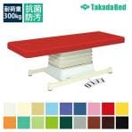 高田ベッド 電動昇降診察台 垂直昇降式 2ポジションメモリー機能 ハイスピードモーター採用 TB-762 サイズ/カラー選択可