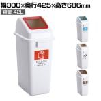 テラモト エコ分別カラーペール 42L オープン 本体・蓋セット ゴミ箱 分別 幅300×奥行425×高さ686mm