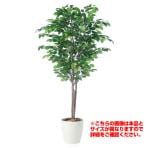 【次回入荷未定】観葉植物 人工 樹木 フィッカスベンジャミナトリプル 高さ1500mm Mサイズ 鉢:RP-265