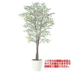 【次回入荷未定】観葉植物 人工 樹木 ベンジャミナスターライトトリプル 高さ2000mm Lサイズ 鉢:RP-300