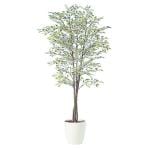 観葉植物 人工 樹木 ベンジャミナスターライトトリプル 高さ1800mm Lサイズ 鉢:RP-300