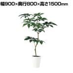 観葉植物 人工樹木 フェイクグリーン 造花 ツピダンサス FST 高さ1500mm 鉢:SA-10(WH)