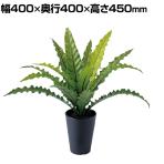 観葉植物 人工樹木 フェイクグリーン 造花 アスプレニウム Sサイズ 高さ450mm 鉢:SA-4(BK) 卓上