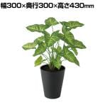 観葉植物 人工樹木 フェイクグリーン 造花 シンゴニウム 高さ430mm 鉢:SA-5(BK) 卓上