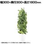 観葉植物 人工樹木 フェイクグリーン 造花 MIXヘゴ マーブル/ライム 高さ1800mm 鉢:SA-10(WH)