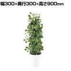 観葉植物 人工樹木 フェイクグリーン 造花 マーブルポトスヘゴ 高さ900mm 鉢:SA-7(WH)