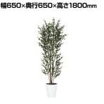 観葉植物 人工樹木 フェイクグリーン 造花 ベンジャミンバロック FST 高さ1800mm 鉢:SA-10(WH)