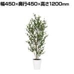 観葉植物 人工樹木 フェイクグリーン 造花 ベンジャミンバロック FST 高さ1200mm 鉢:SA-7(WH)