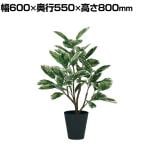 観葉植物 人工樹木 フェイクグリーン 造花 デコラトリカラー FST 高さ800mm 鉢:SA-6(BK)