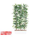 観葉植物 人工 樹木 フィッカスベンジャミナパーテーション 高さ2000mm Lサイズ 鉢:ガーデンペット