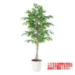 観葉植物 人工 樹木 フィッカスベンジャミナ 高さ2000mm Lサイズ 鉢:RP-300