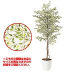 観葉植物 人工 樹木 ベンジャミナスターライト 高さ1500mm Mサイズ 鉢:RP-265