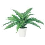 観葉植物 人工 樹木 ボストンファンM 高さ350mm Pサイズ 鉢:CV-04