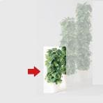 観葉植物 人工 樹木 ポトスヘゴ-DX 高さ900mm SSサイズ 鉢:RP-225
