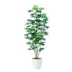 観葉植物 人工 樹木 シェフレラ 高さ1800mm Lサイズ 鉢:RP-300