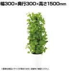 観葉植物 人工樹木 フェイクグリーン 造花 ライムポトスヘゴ 高さ1500mm 鉢:SA-10(WH)