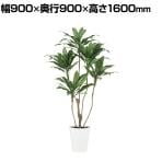 観葉植物 人工樹木 フェイクグリーン 造花 コルディリネ 高さ1600mm 鉢:SA-10(WH)