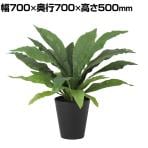 観葉植物 人工樹木 フェイクグリーン 造花 オオタニワタリ 高さ500mm 鉢:SA-6(BK) 卓上