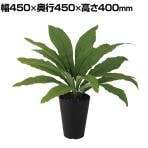 観葉植物 人工樹木 フェイクグリーン 造花 タニワタリ 高さ400mm 鉢:SA-4(BK) 卓上