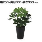 観葉植物 人工樹木 フェイクグリーン 造花 グリーンカポック Sサイズ 高さ350mm 鉢:SA-4(BK) 卓上