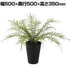 観葉植物 人工樹木 フェイクグリーン 造花 ヒリュウシダ 高さ350mm 鉢:SA-4(BK) 卓上