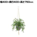 観葉植物 人工樹木 フェイクグリーン 造花 スプレンゲリー 鉢:HP-15 (DG) ハンギング植栽 ハンギングポット 吊り下げポット 高さ750mm
