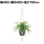 観葉植物 人工樹木 フェイクグリーン 造花 ワイルドグラスファン 鉢:HP-15 (DG) ハンギング植栽 ハンギングポット 吊り下げポット 高さ750mm