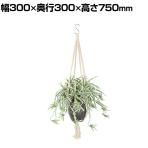 観葉植物 人工樹木 フェイクグリーン 造花 オリヅルラン W/G 鉢:HP-15 (DG) ハンギング植栽 ハンギングポット 吊り下げポット 高さ750mm