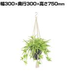 観葉植物 人工樹木 フェイクグリーン 造花 オリヅルラン G/Y 鉢:HP-15 (DG) ハンギング植栽 ハンギングポット 吊り下げポット 高さ750mm