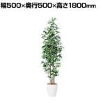 観葉植物 人工樹木 フェイクグリーン 造花 ベンジャミン スリム FST 高さ1800mm 鉢:RP-265