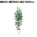 観葉植物 人工樹木 フェイクグリーン 造花 ベンジャミン スリム FST 高さ1500mm 鉢:RP-265