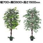 観葉植物 人工樹木 フェイクグリーン インテリアグリーン 造花 ベンジャミン 高さ1500mm