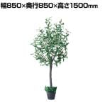 観葉植物 人工樹木 フェイクグリーン インテリアグリーン 造花 オリーブ 高さ1500mm
