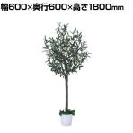 観葉植物 人工樹木 フェイクグリーン インテリアグリーン 造花 オリーブ 高さ1800mm