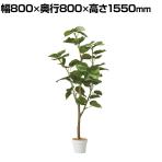 観葉植物 人工樹木 フェイクグリーン インテリアグリーン 造花 フィカスウンベラータ 高さ1550mm