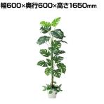 観葉植物 人工樹木 フェイクグリーン インテリアグリーン 造花 モンステラ 高さ1650mm