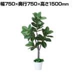 観葉植物 人工樹木 フェイクグリーン インテリアグリーン 造花 ゴムの木 高さ1500mm