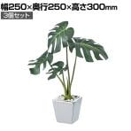 【3個セット】卓上グリーンポット 観葉植物 人工樹木 フェイクグリーン インテリアグリーン 造花 モンステラ 幅250×奥行250×高さ300mm