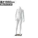 紳士リアルマネキン ホワイト M 頭部なし 男性 業務用 店頭用 店舗什器 陳列什器 アパレル