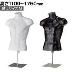 PP製 卓上紳士トルソー M 上半身のみ 腕なし 男性 業務用 店頭用 店舗什器 陳列什器 アパレル