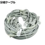 HASEGAWA ハセガワ 分岐ケーブル ESYシリーズ 10階用 防水コネクターボディ ESY2EW10