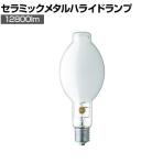 岩崎 FECセラルクスエースPRO110W 拡散形 M110FCLSPWBUD