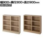 バリュテック・インターナショナル 頑丈本棚シリーズ ロータイプ 組み立て式90 幅900×奥行300×高さ900mm