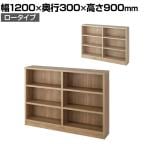 バリュテック・インターナショナル 頑丈本棚シリーズ ロータイプ 組み立て式120 幅1200×奥行300×高さ900mm