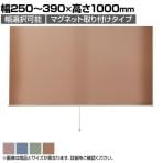 バリュテック・インターナショナル スリムロールスクリーン サイズオーダー 幅選択可能 幅250～390mm マグネット取り付けタイプ 遮光 静音 防炎 消臭 高さ1000mm