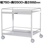 山金工業 ツールワゴン コンビニワゴン こぼれ止め付き 2段 双輪キャスター付き 業務用 WCWFS-2-P 幅750×奥行500×高さ682mm
