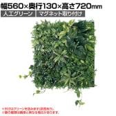 ベルク フェイクグリーン ウォールグリーン マグネットグリーン マットパネルタイプ50角 人工 造花 GR1247 幅560×奥行130×高さ720mm