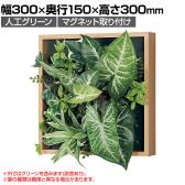 ベルク フェイクグリーン ウォールグリーン マグネットグリーン 木枠フレームタイプ 25角 人工 造花 GR1251 幅300×奥行150×高さ300mm